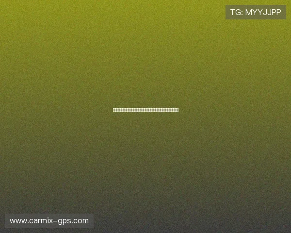 新西兰队在世界杯中的纸面实力与比利时队的差距与优势探讨