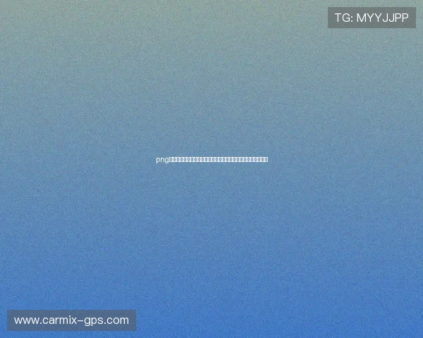 png电子游戏平台网页版入口操作流程详解，新手也能轻松上手体验